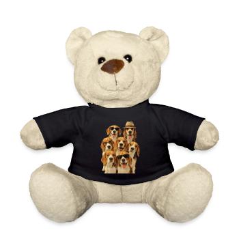 Beagle - Teddy - Schwarz - Vorne