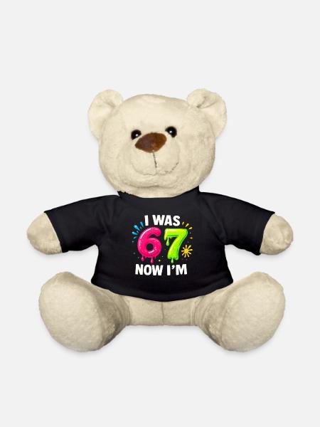 7. Geburtstag Kinder 67 Meme Humor Geschenkidee - Teddy - Schwarz