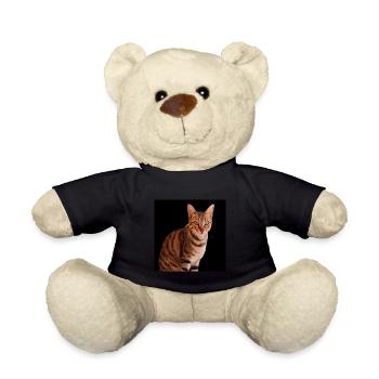 Chat chat chaton doux - Nounours - noir - Devant