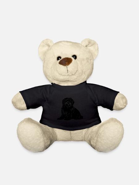 Havanese Hund - Teddy - Schwarz