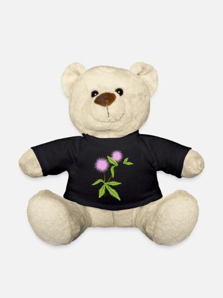 Mimosen Pflanze mit ihren empfindsamen Blätter - Teddy - Schwarz