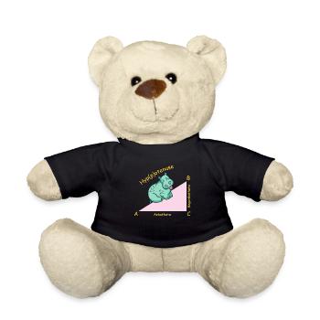 Professeur de mathématiques mathématicien Hippotenuse - Nounours - noir - Devant
