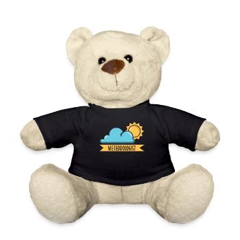 Meteorologe Meteorologie Wettervorhersage Beruf - Teddy - Schwarz - Vorne