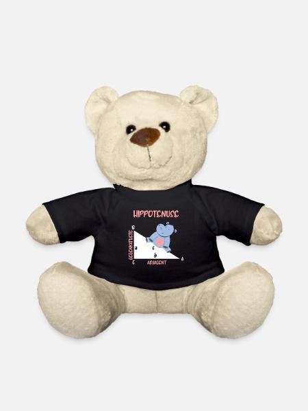 Mathematiker Hippotenuse Hippo Dreieck - Teddy - Schwarz