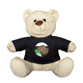 Demiromantic Pride Flag Capybara Sublte LGBTQ - Nounours - noir - Devant