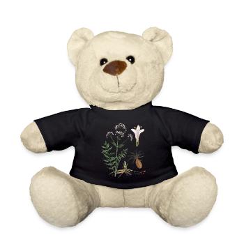 Baldrian (Valeriana officinalis) - Teddy - Schwarz - Vorne