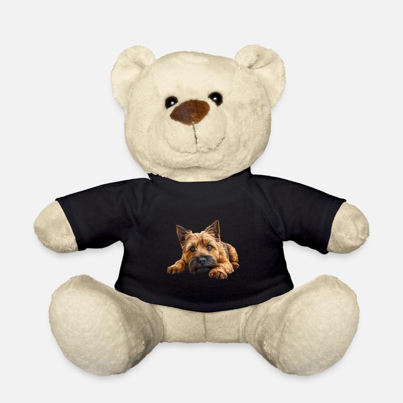 Cairn Terrier - Nounours - noir