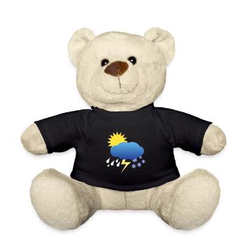 Weather calamity - Teddy - Schwarz - Vorne