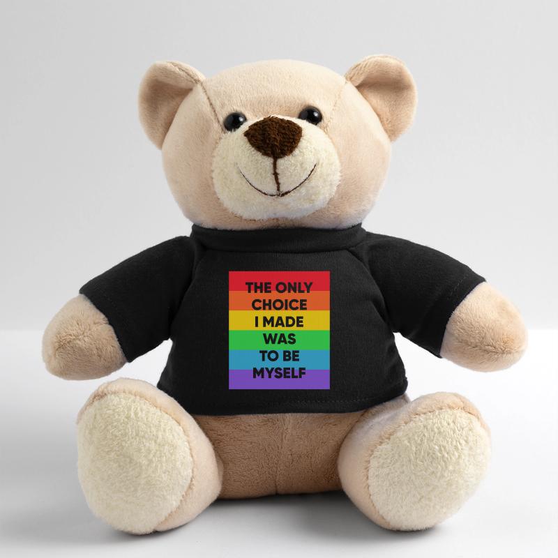Schwul Lesbisch Regenbogen T-Shirt Geschenkidee Teddy