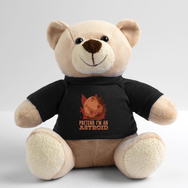 Space Space Astroid Astroid Redirection Teddy Bear