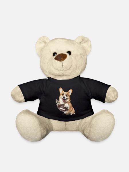 Amerikanischer Pitbull Corgi - Teddy - Schwarz