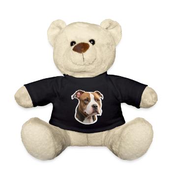 American Stafford Terrier - Teddy - Schwarz - Vorne