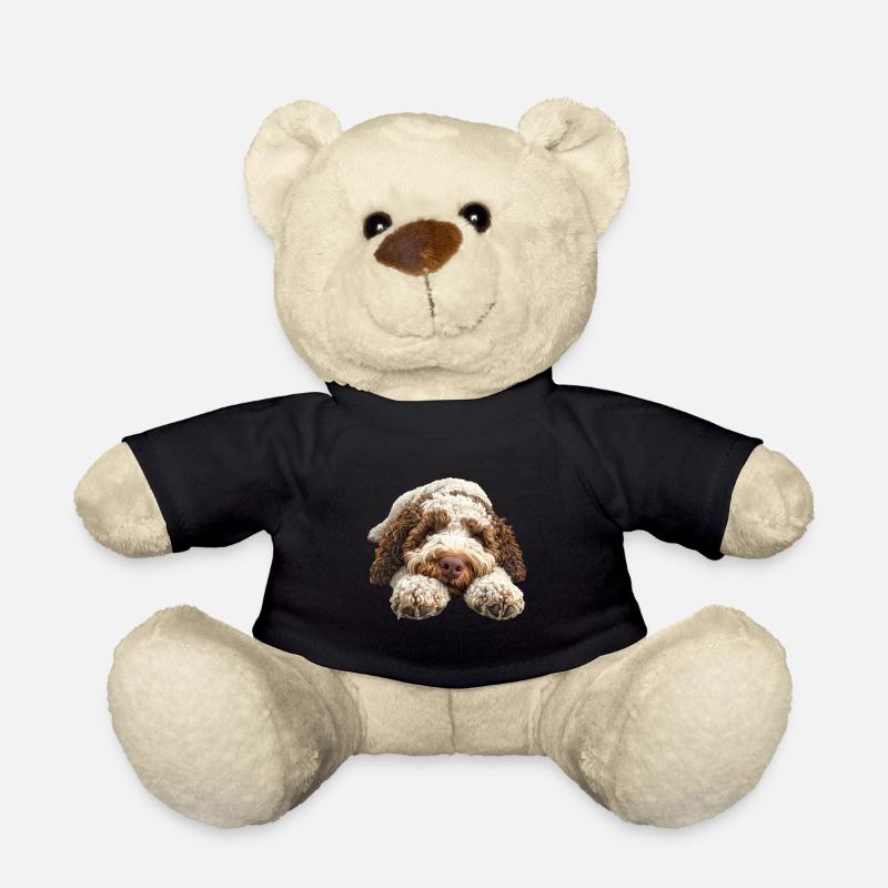 Lagotto Romagnolo - Teddy - Schwarz