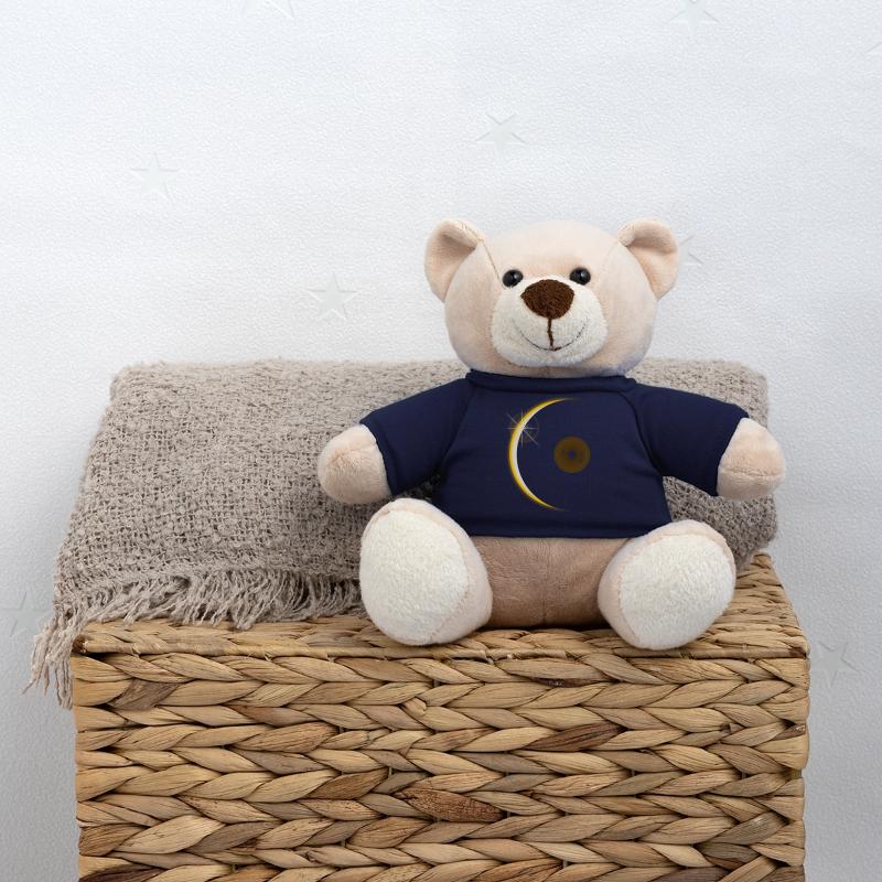 Vinyl eclipse Teddy Bear