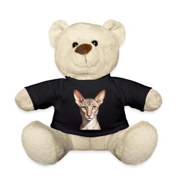 Coole orientalisch kurze Katze - Teddy - Schwarz - Vorne
