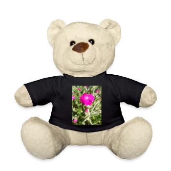 Rosennelke Kronen-Lichtnelke Lychnis coronaria - Teddy - Schwarz - Vorne