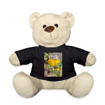 Jacobaea maritima aussi séneçon argenté Greiskraut - Nounours - noir - Devant