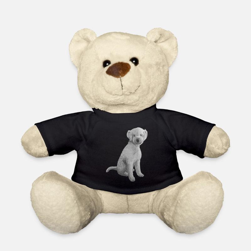 Lagotto Romagnolo - Teddy - Schwarz