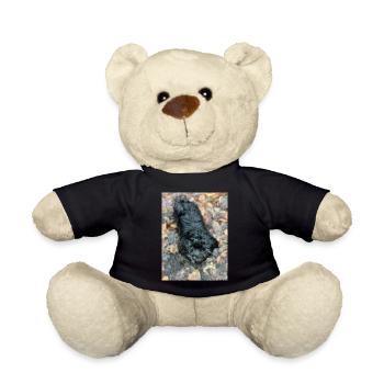 Havaneser forever - Teddy - Schwarz - Vorne