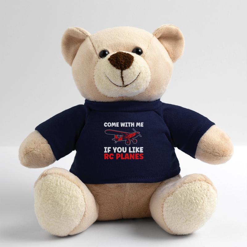 RC Airplane RC Airplane Gift Teddy Bear