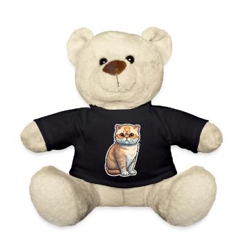 Chat Scottish Fold - Nounours - noir - Devant