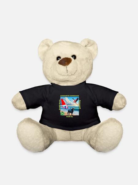 Planchou Waterman Windsurfer camarguais spots - Nounours - noir