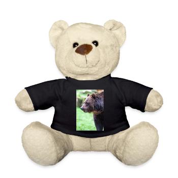 European brown bear (Braunbär) Ursus arctos - Teddy Bear - black - Front