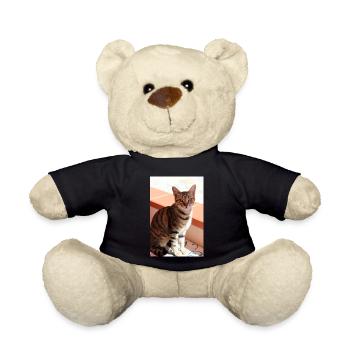 Katze Kätzchen - Teddy - Schwarz - Vorne
