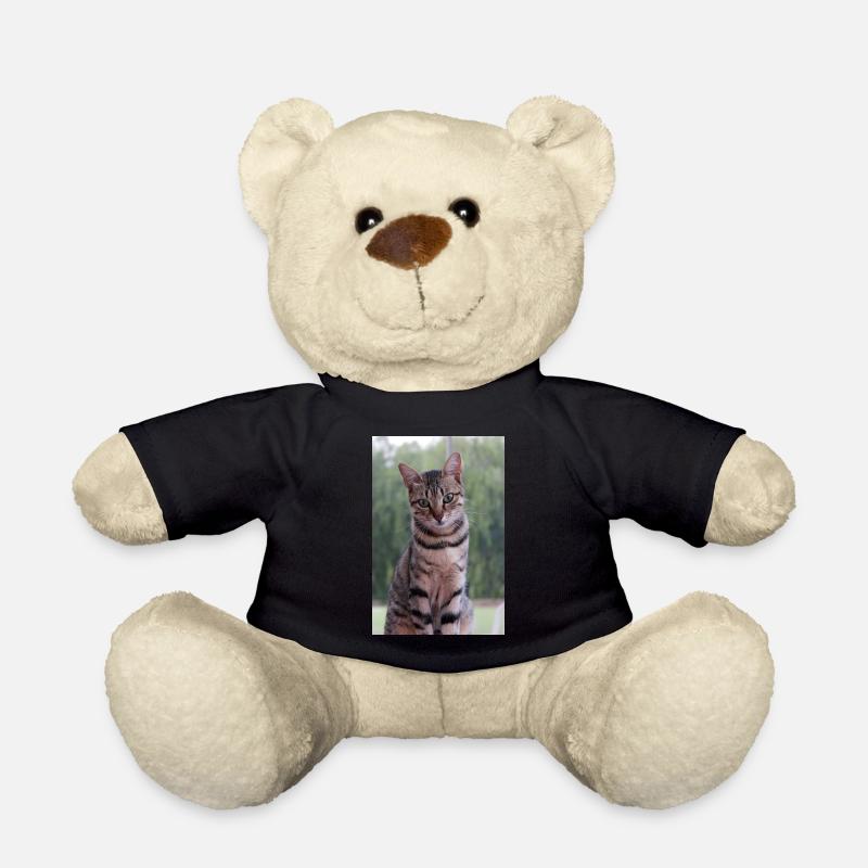 Katze Kätzchen - Teddy - Schwarz