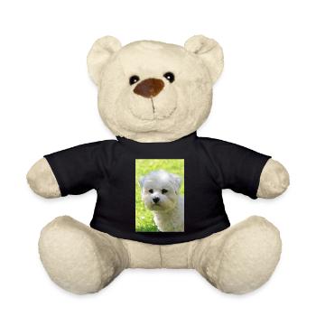Malteser - Teddy - Schwarz - Vorne