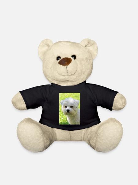 Malteser - Teddy - Schwarz