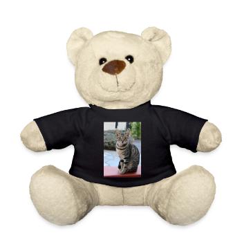 chat, chaton - Nounours - noir - Devant
