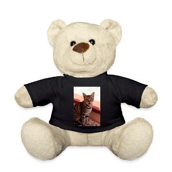 chat, chaton - Nounours - noir - Devant