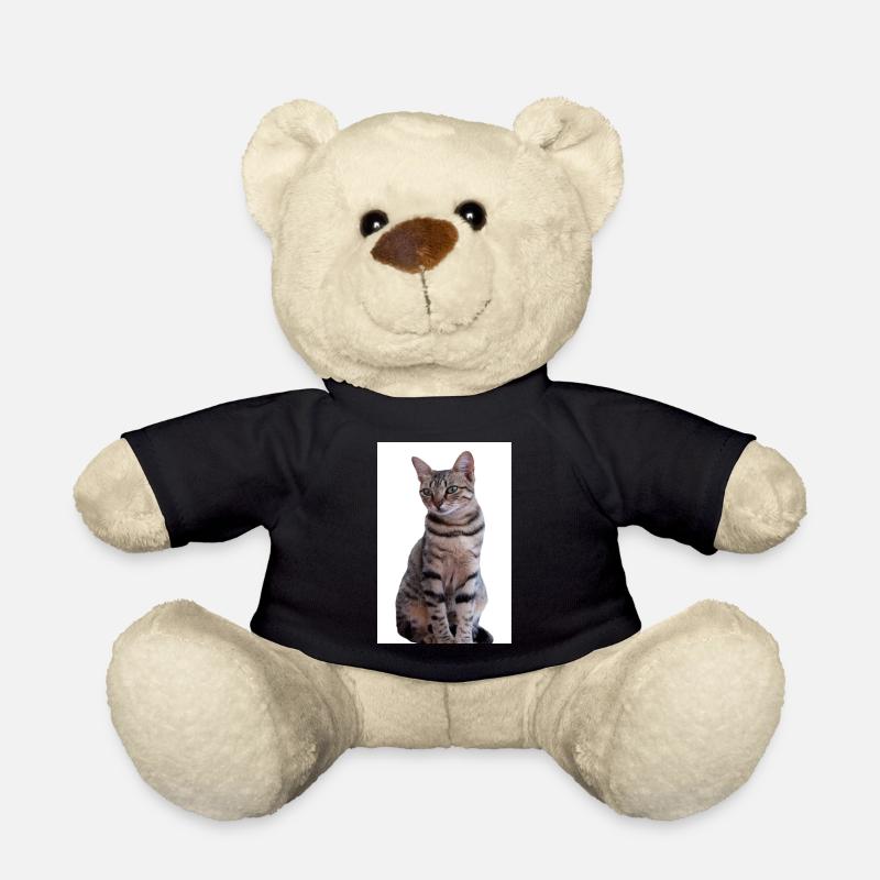 Chat chat noir chaton - Nounours - noir