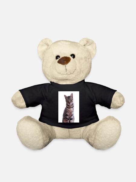 Katze Katzen Kätzchen Tigerkatze - Teddy - Schwarz