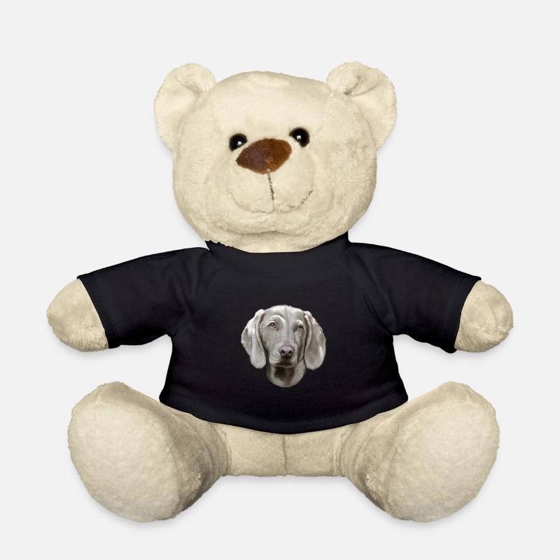 Chien Braque de Weimar - Nounours - noir