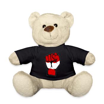 Österreich Flagge Faust Hand Symbol - Teddy - Schwarz - Vorne