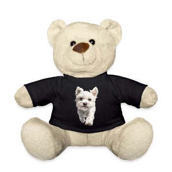 Maltesisch - Teddy - Schwarz - Vorne