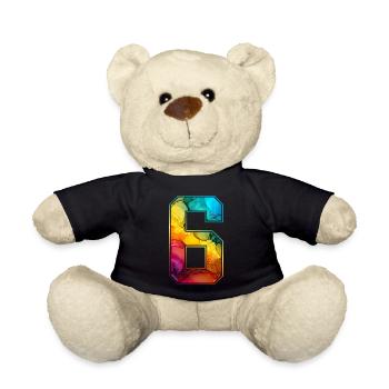 NO. 6 NUMBER 6 COLLEGE 6TH BIRTHDAY - Teddy Bear - black - Front