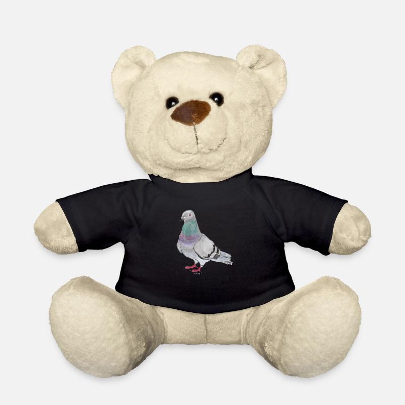 Wester Stadttaube - Teddy - Schwarz