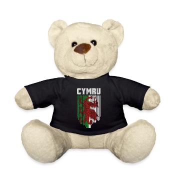 Flagge von Wales, walisischer Stolz - Teddy - Schwarz - Vorne