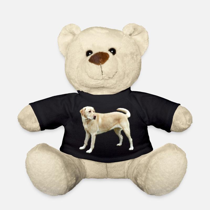 Labrador in Hellbraun - Teddy - Schwarz