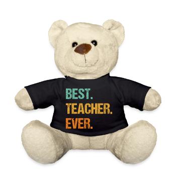 Best Teacher Ever Motivational Tee - Teddy Bear - black - Front