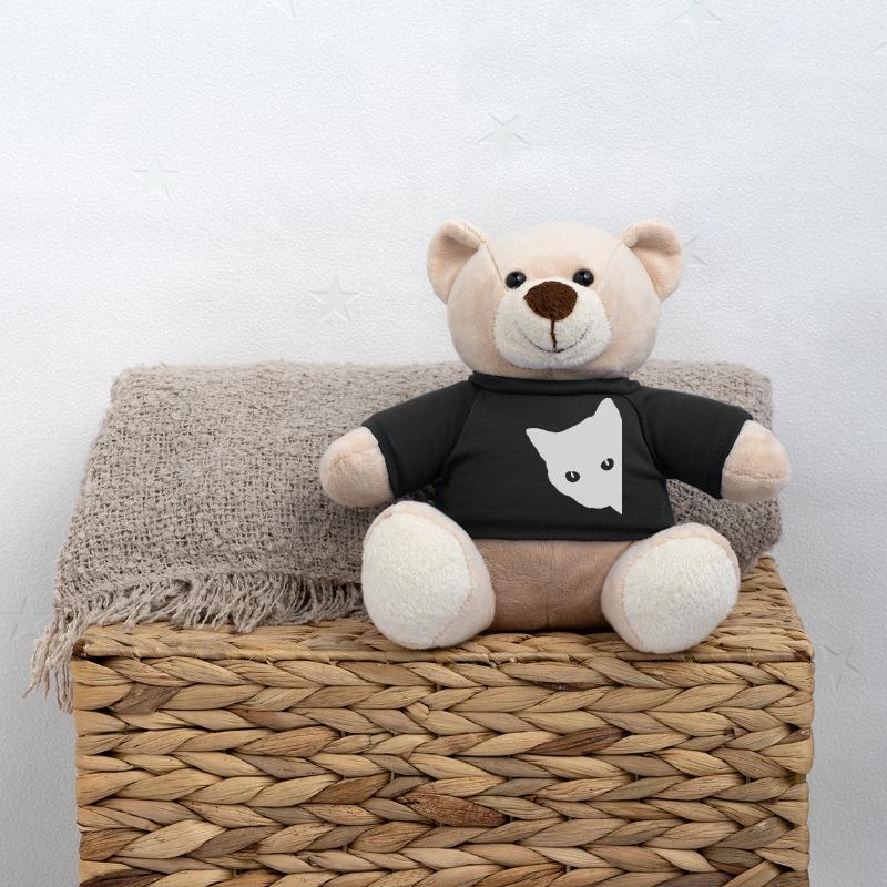 Katze Gesicht Weiß Teddy