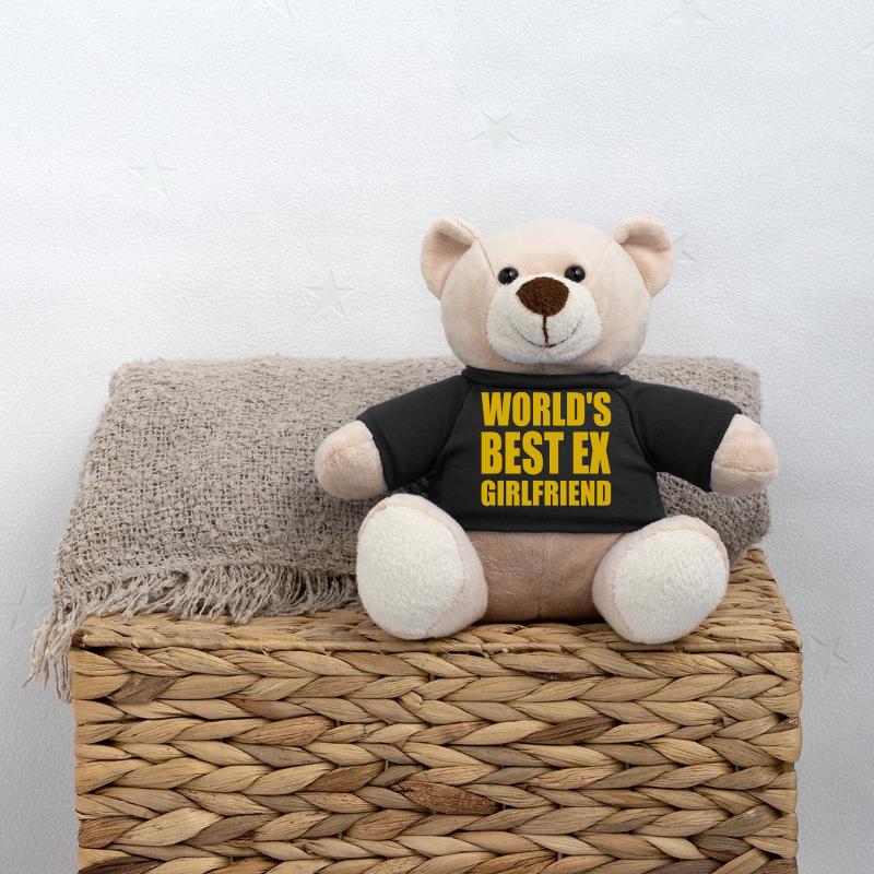 world's best ex girlfriend Teddy Bear