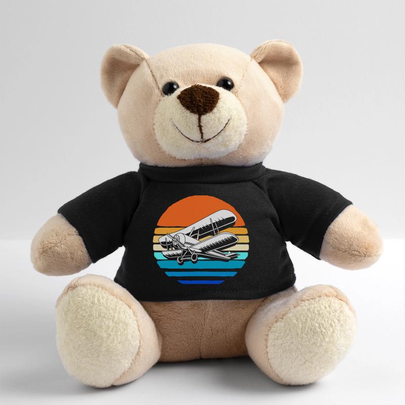 Modellflugzeug Modellflug Teddy