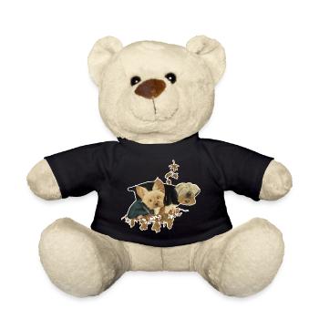 Chiens du Yorkshire dans les feuilles d’automne - Nounours - noir - Devant