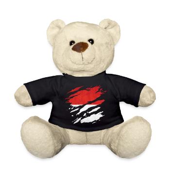 Indonesia - National flag, scratches, cracks - Teddy Bear - black - Front