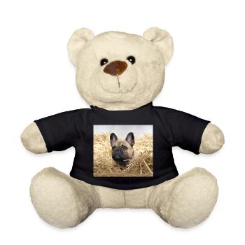 französische Bulldogge Ferien auf dem Bauernhof - Teddy - Schwarz - Vorne