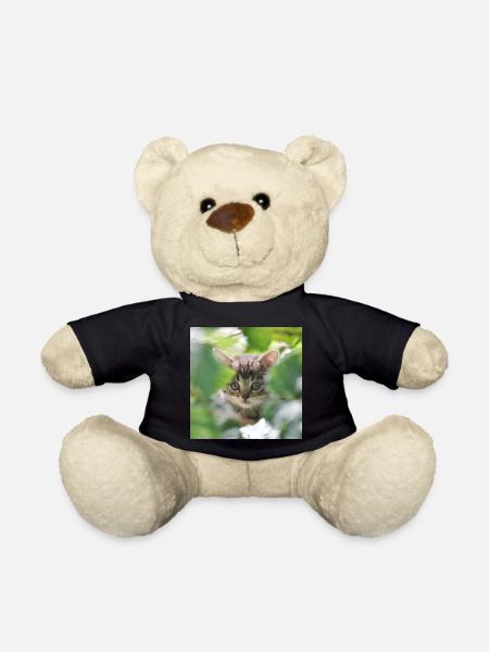 Schüchternes aber neugieriges Kätzchen - Teddy - Schwarz